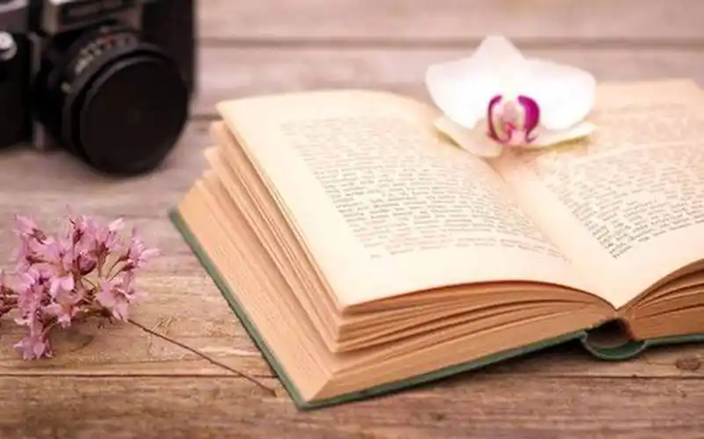 1773735069848434.png 网站图片60.webp.png