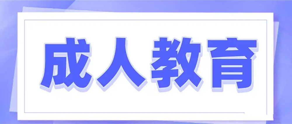 1774924396599760.png 网站图片213.webp.png