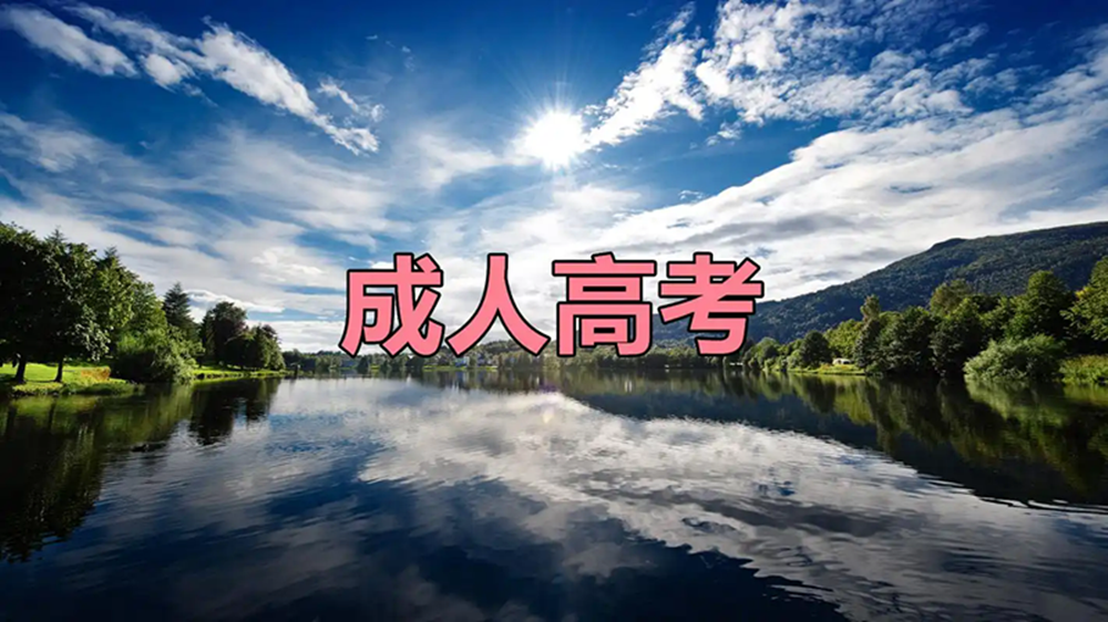 网站图片268.webp.png