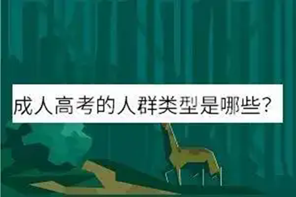 网站图片274.webp.png