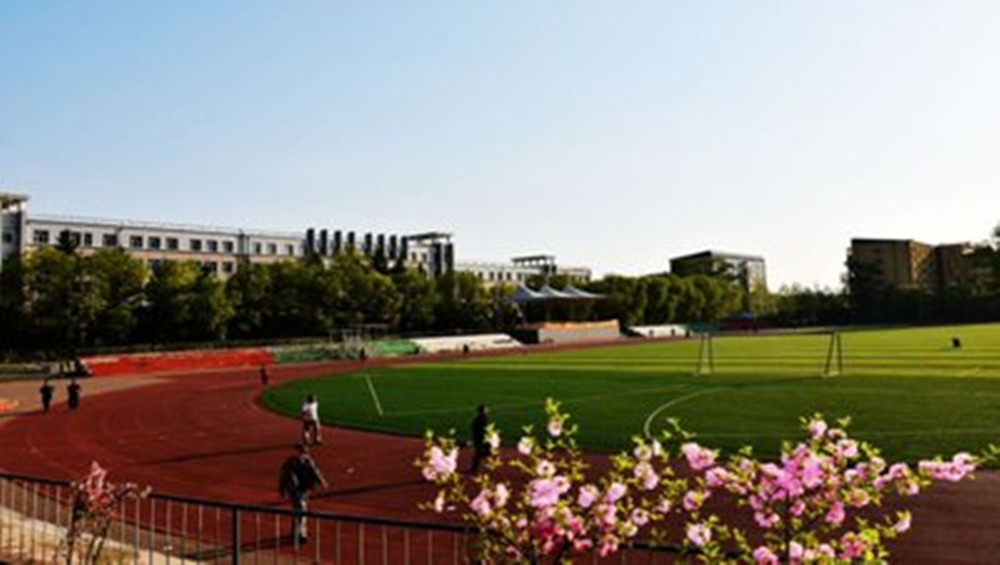 网站图片901.jpg