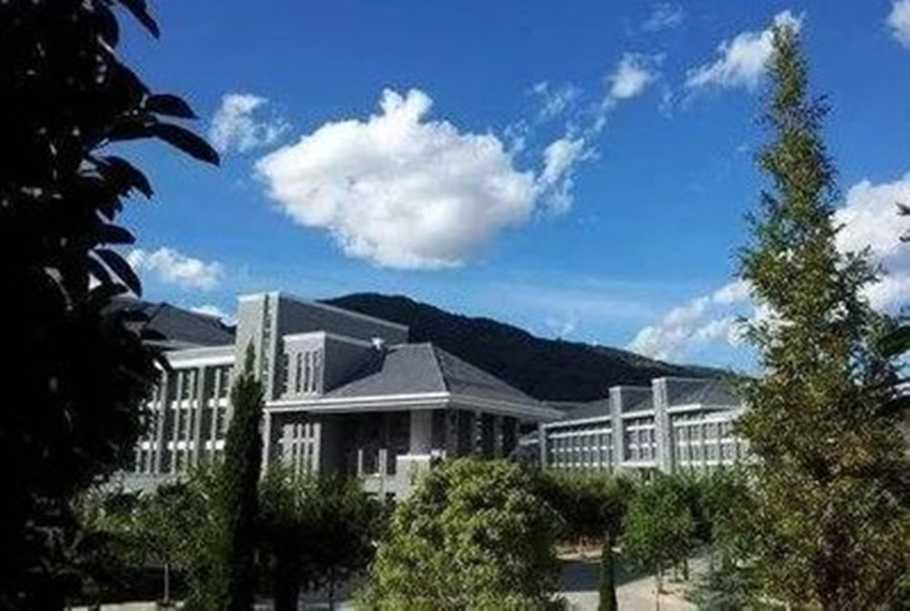 网站图片2040.jpg