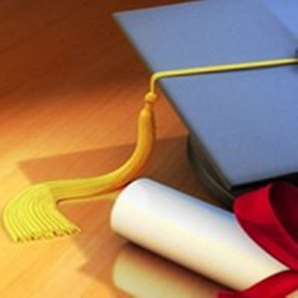 1775641347641391.jpg 网站图片245.jpg