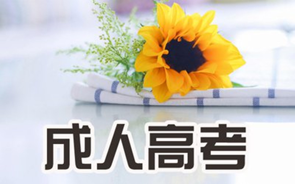 1779948236699835.jpg 网站图片294.jpg