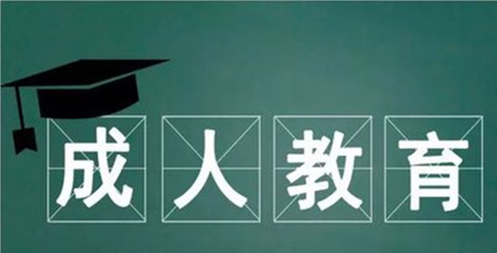 1780281599563647.jpg 网站图片330.jpg